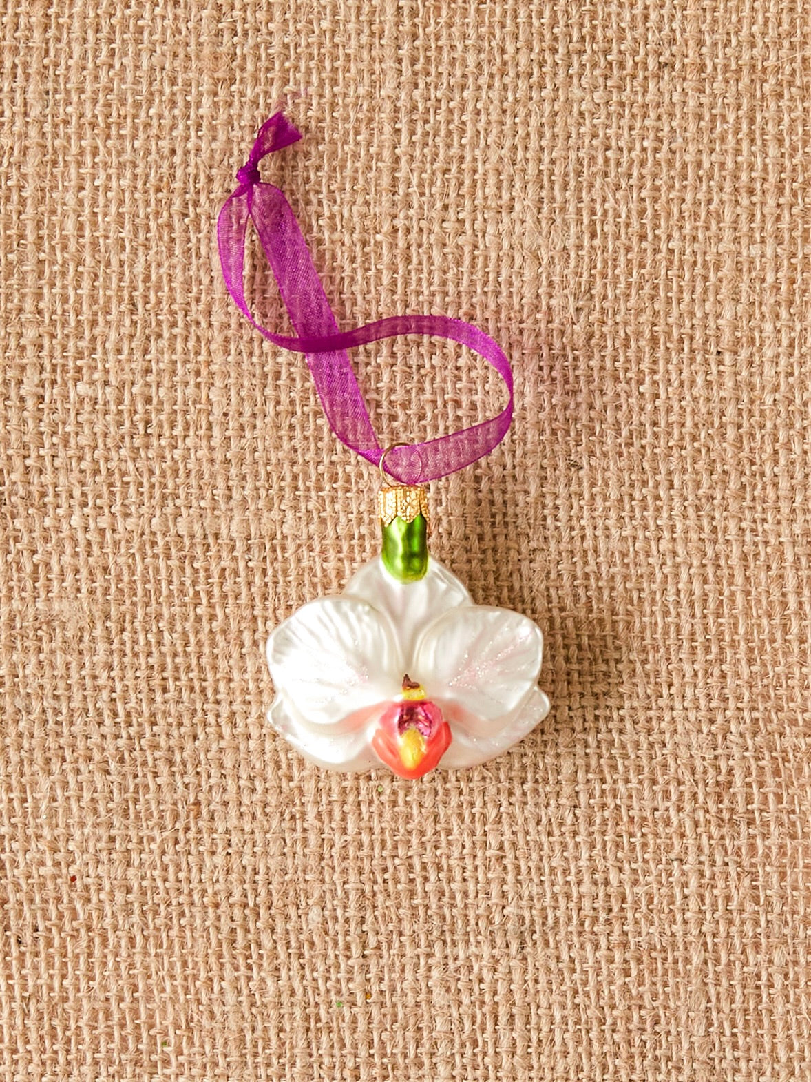 Dan Cooper Garden Moth Orchid Christmas Decoration