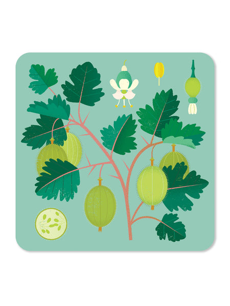 Jenny Duff Gooseberry Table Mat