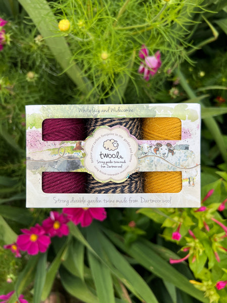 Twool Sustainable Wool Garden Twine Gift Box, Magenta/Navy twist/Yellow