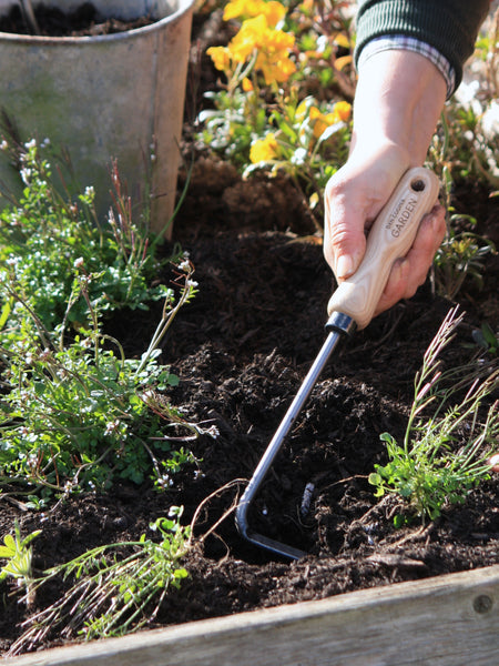 Signature Cape Cod Weeder