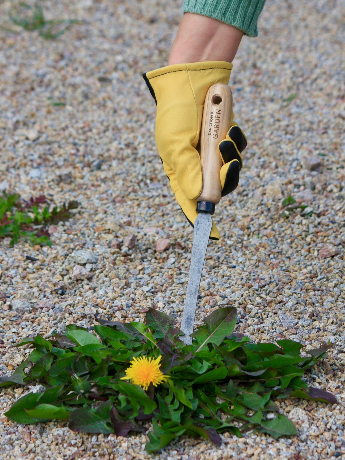 Signature Dandelion Weeder