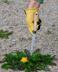 Signature Dandelion Weeder