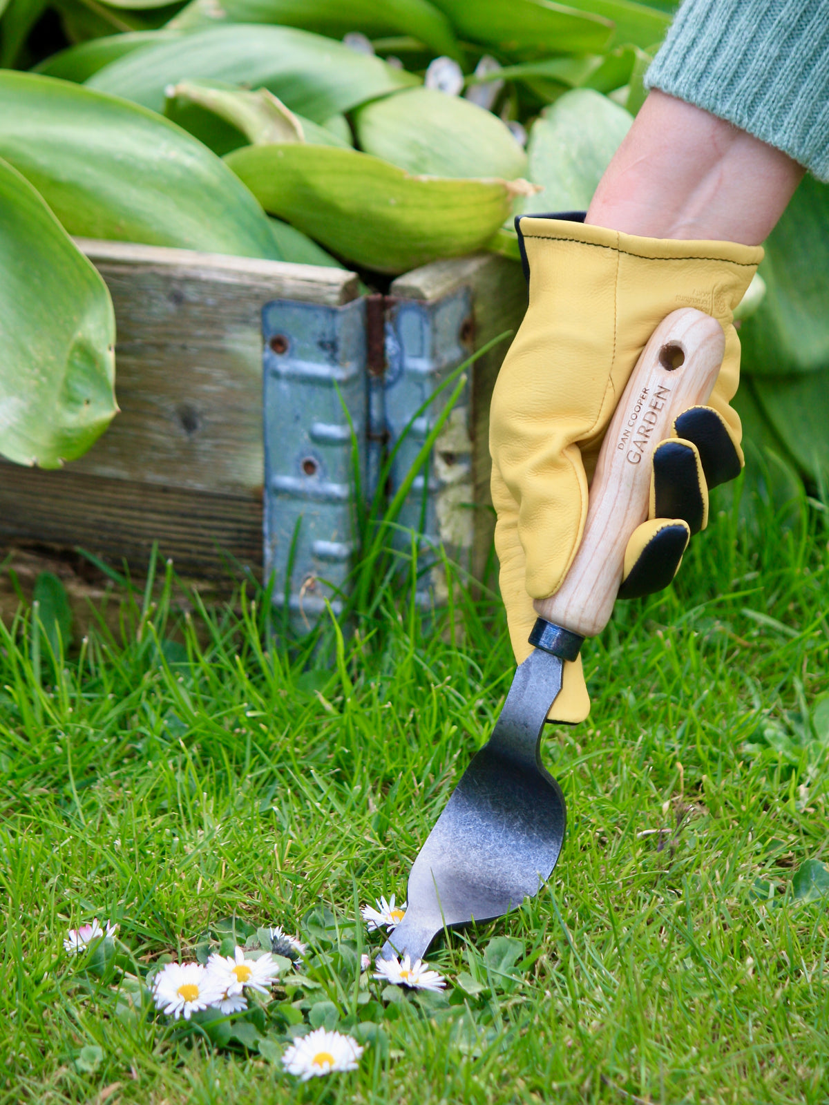 Signature Lazy Lawn Weeder