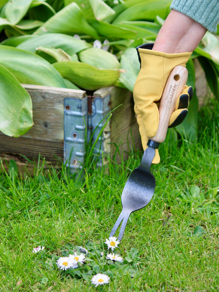 Signature Lazy Lawn Weeder