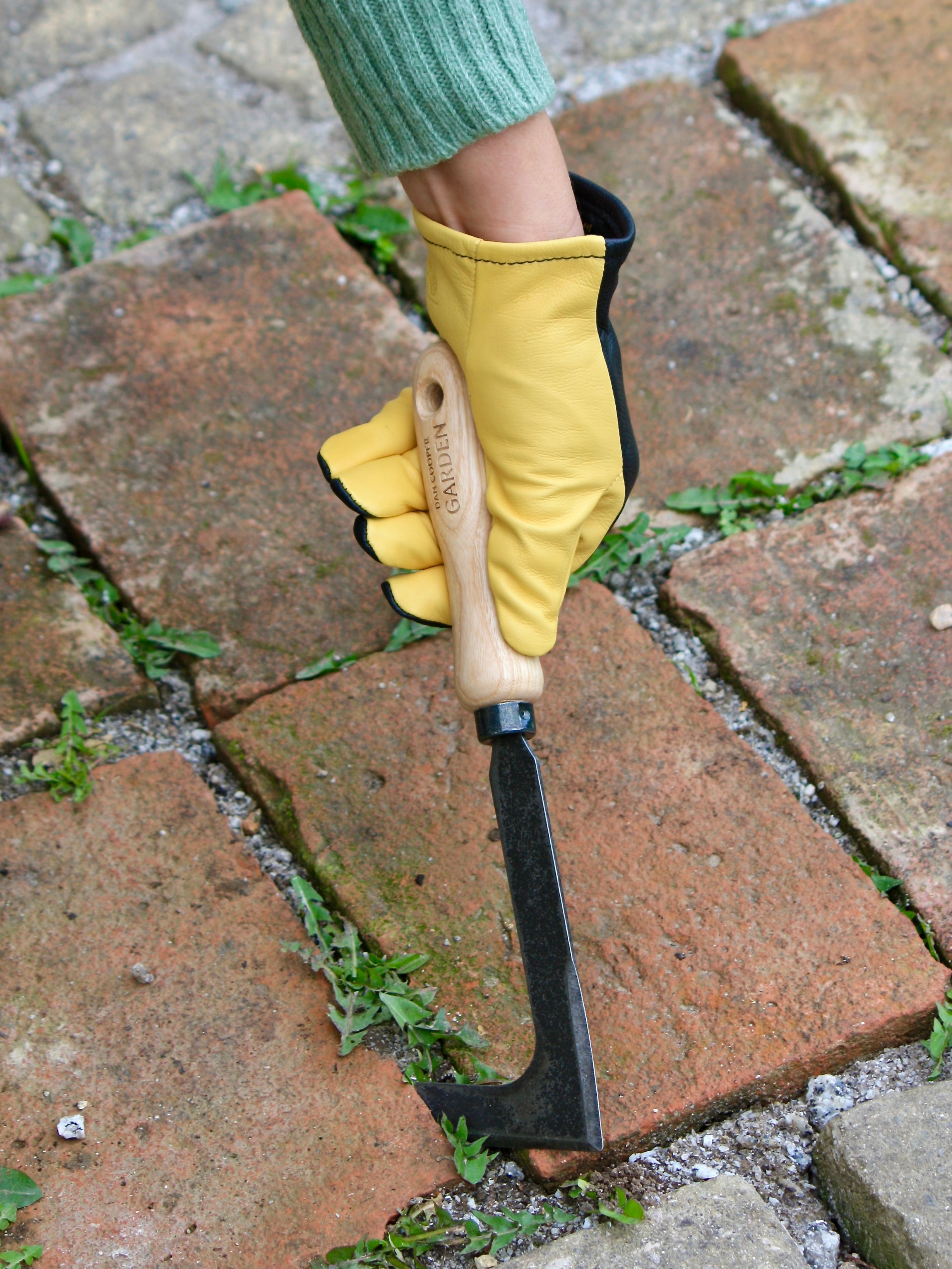 Signature Crack and Crevice Weeder Dan Cooper Garden