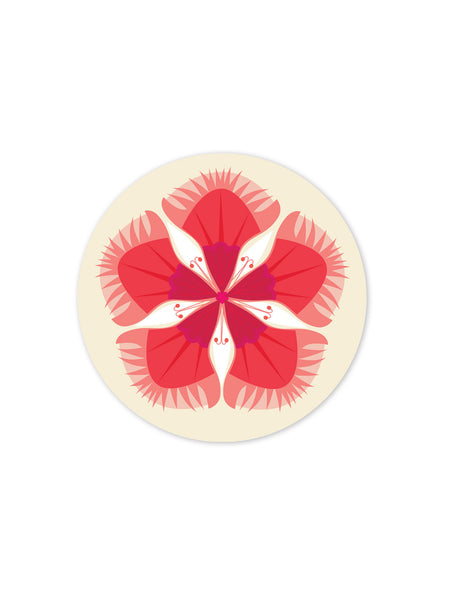 Jenny Duff Dianthus Coaster