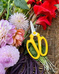 Niwaki Sakagen Flower Scissors, Yellow