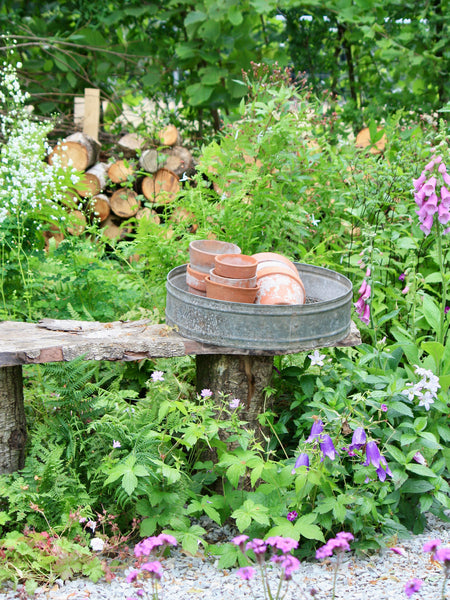 Ten things you don't need to do in your garden