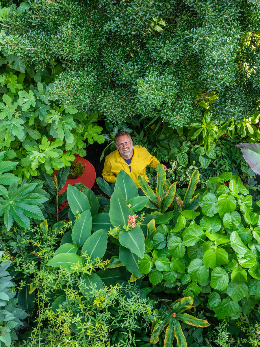 NGS Open Garden Weekend, The Watch House