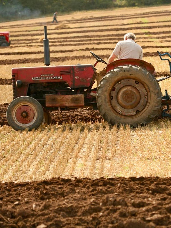 East Kent Ploughing Match, Hardres Court Farm