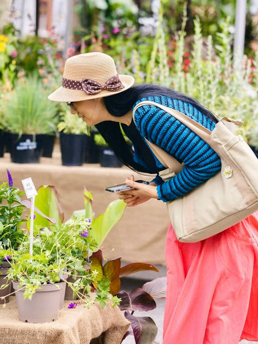 Chiswick Flower Market, August 2025
