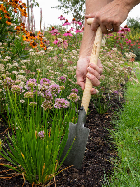 How To Divide Clump-Forming Perennials