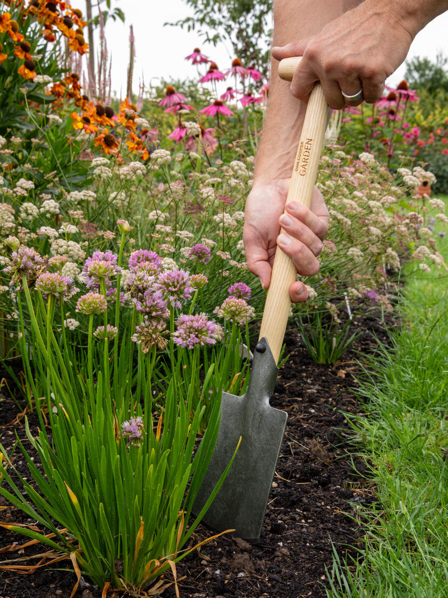 What tool to dig split hostas with?