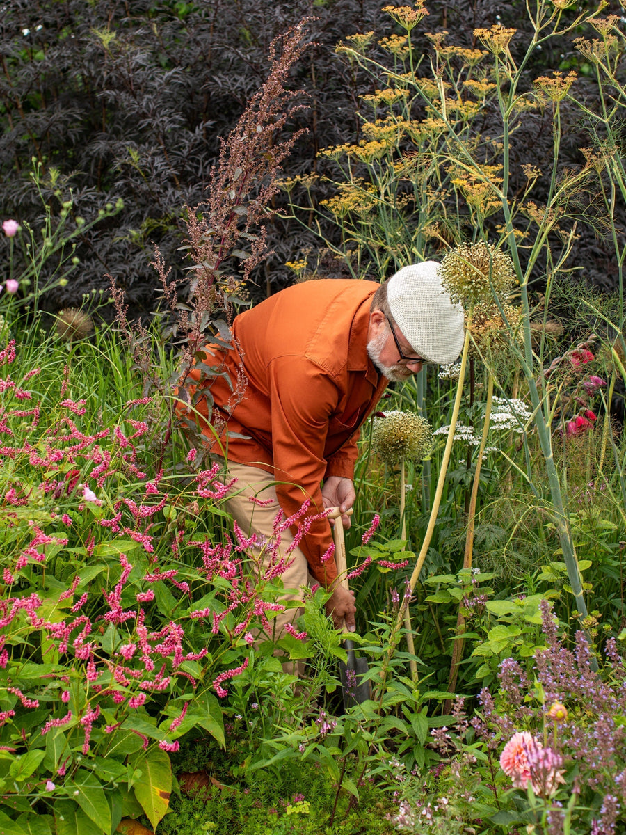 Your Garden in July