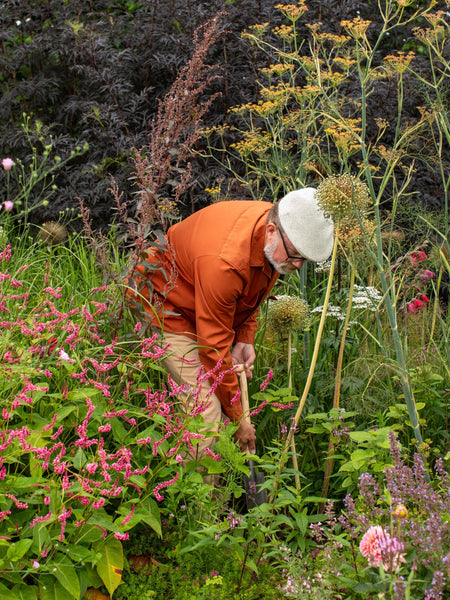Your Garden in July