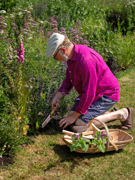 Why Autumn Could Be The Best Time To Plant