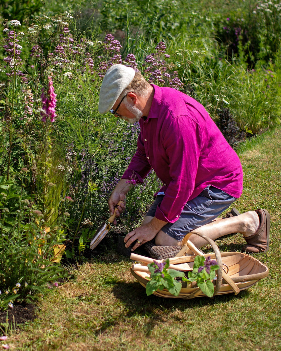 Why Autumn Could Be The Best Time To Plant