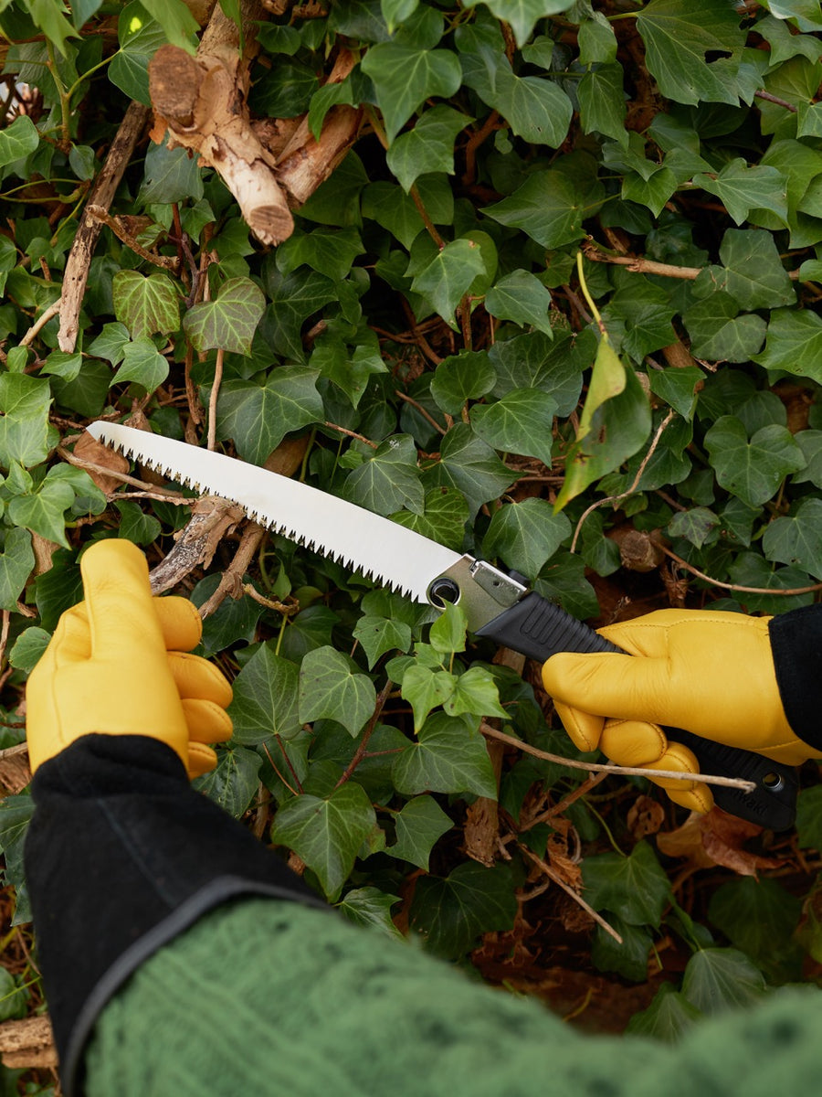 How To Prune Like A Pro