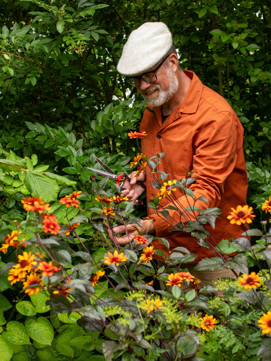 Summer Into Autumn - How To Keep Your Garden Blooming Beautifully