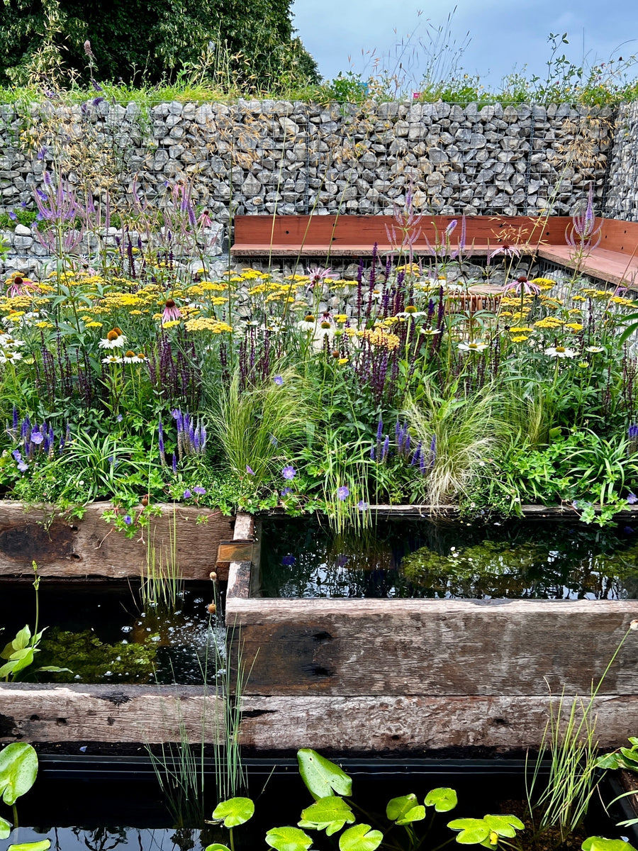 Sustainable Gardening 101 - Water Conservation