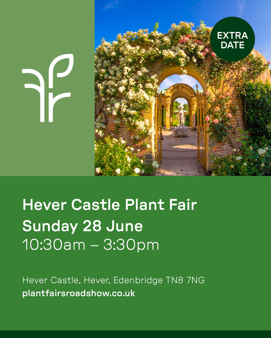 Plant Fairs Roadshow at Hever Castle & Gardens - NEW!