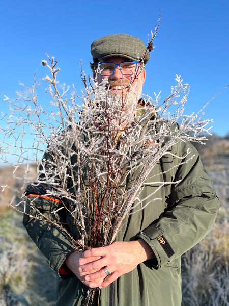 Your Garden In January
