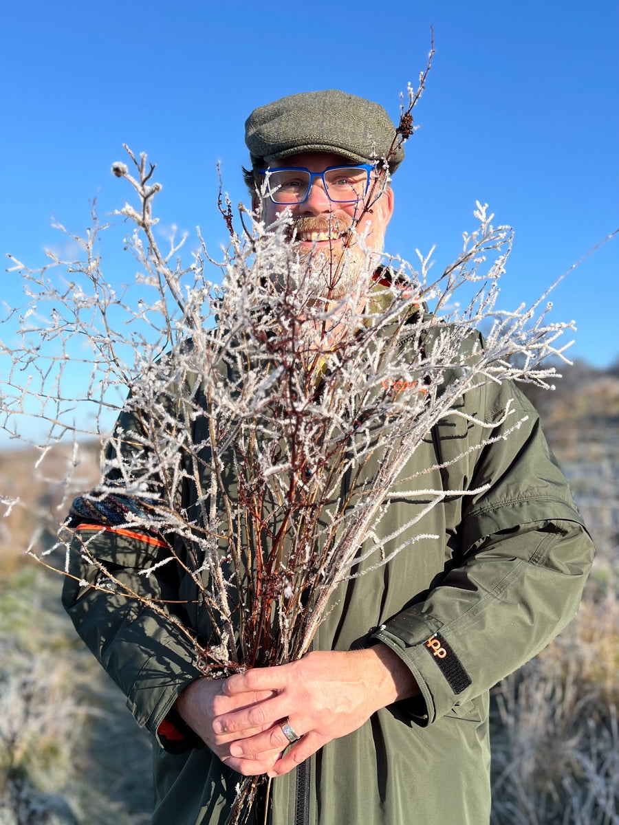 Your Garden In January