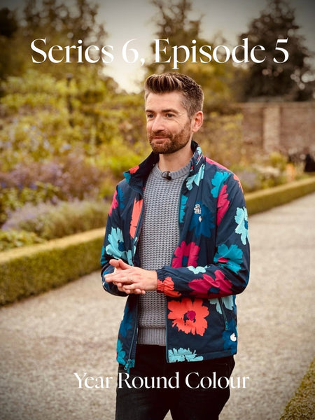 Year Round Colour With Niall McCauley