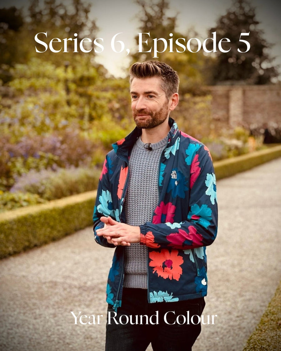 Year Round Colour With Niall McCauley