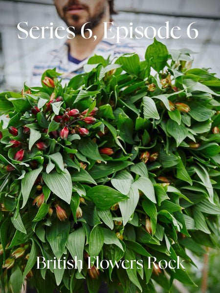 British Flowers Rock With Ben Cross