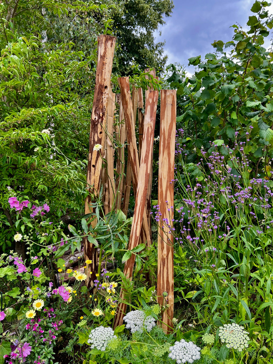 RHS Hampton Court Flower Festival 2023 - Five Great Ideas to Try at Home