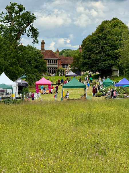 Plant Fair At Gilbert White's House