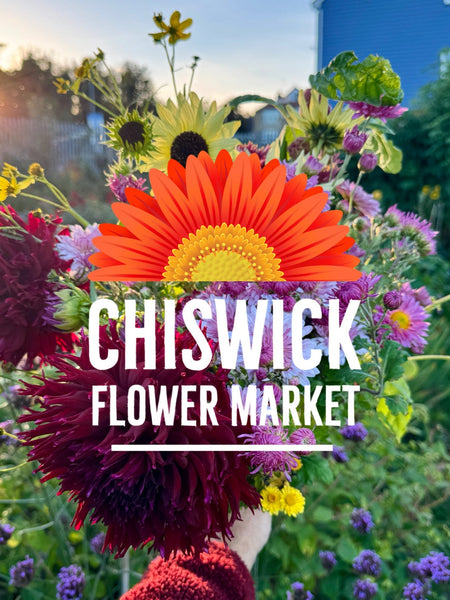 Chiswick Flower Market, September 2026