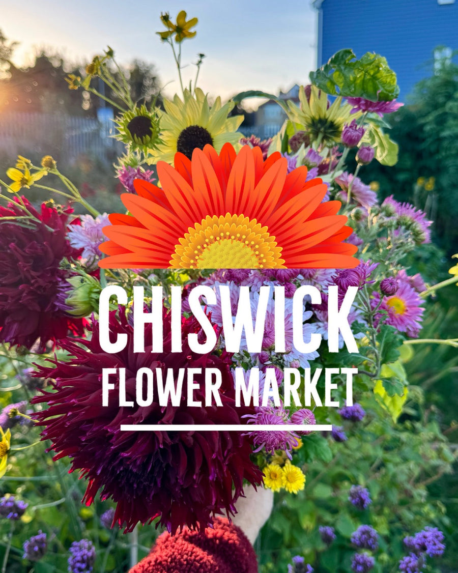 Chiswick Flower Market, September 2026