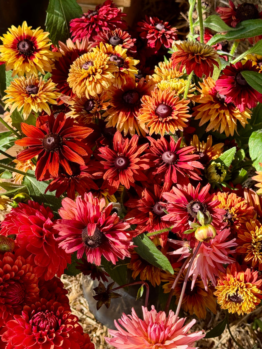 The Homegrown Market August, Bolney, West Sussex