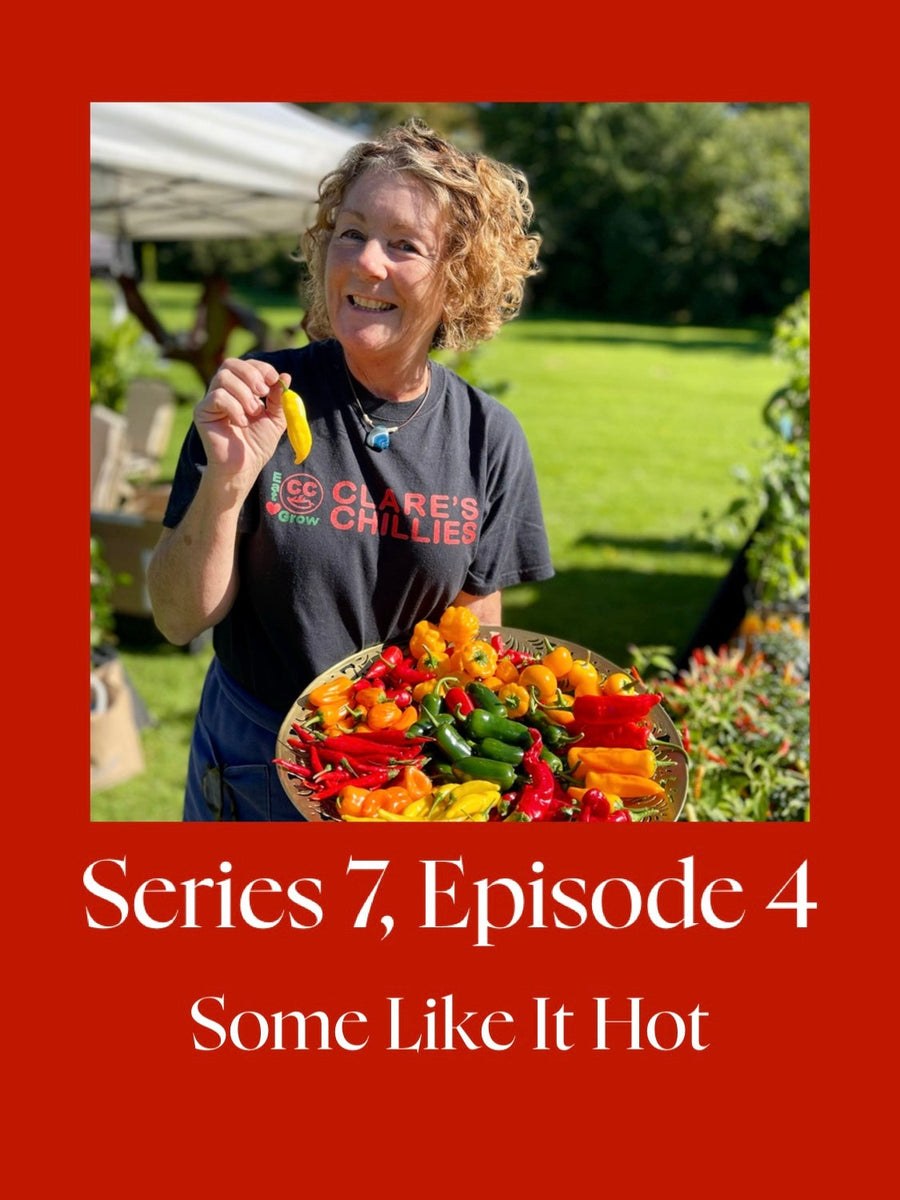 SOME LIKE IT HOT WITH CLARE KENNETT