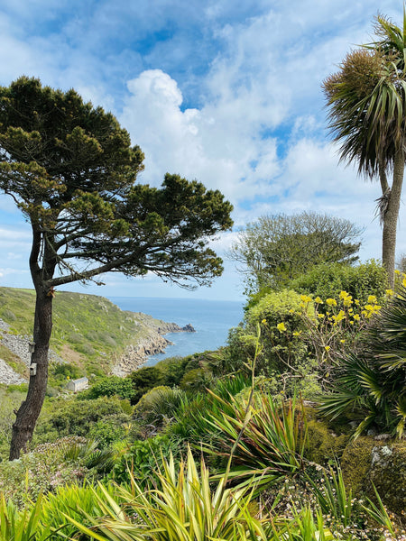 How to Storm-Proof your Garden