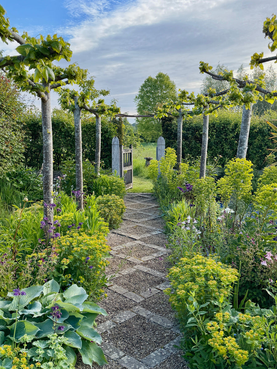 The Generous Gardener Specialist Plant Fair
