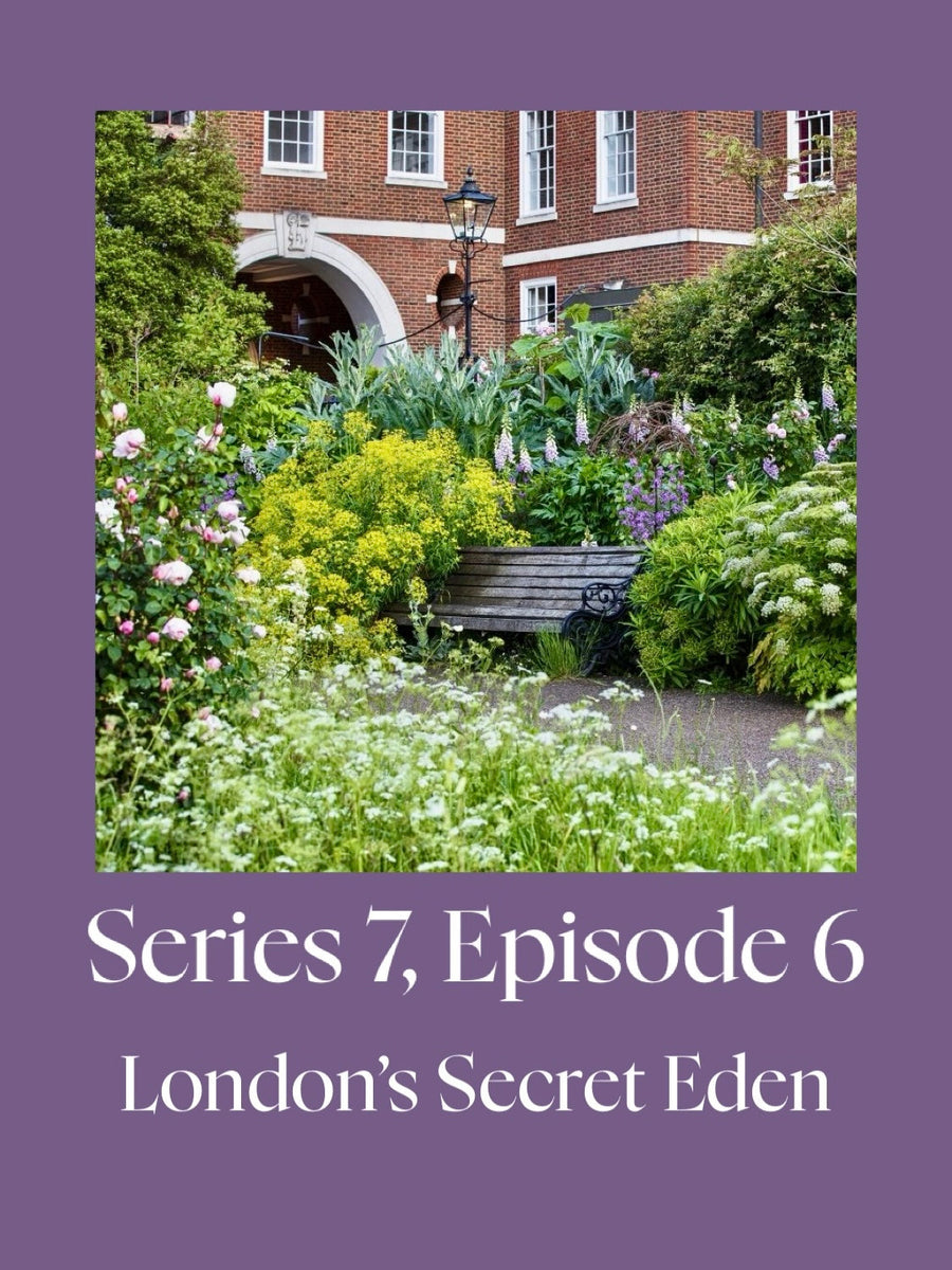 London's Secret Eden With Sean Harkin