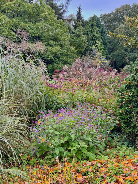 Your Garden In October