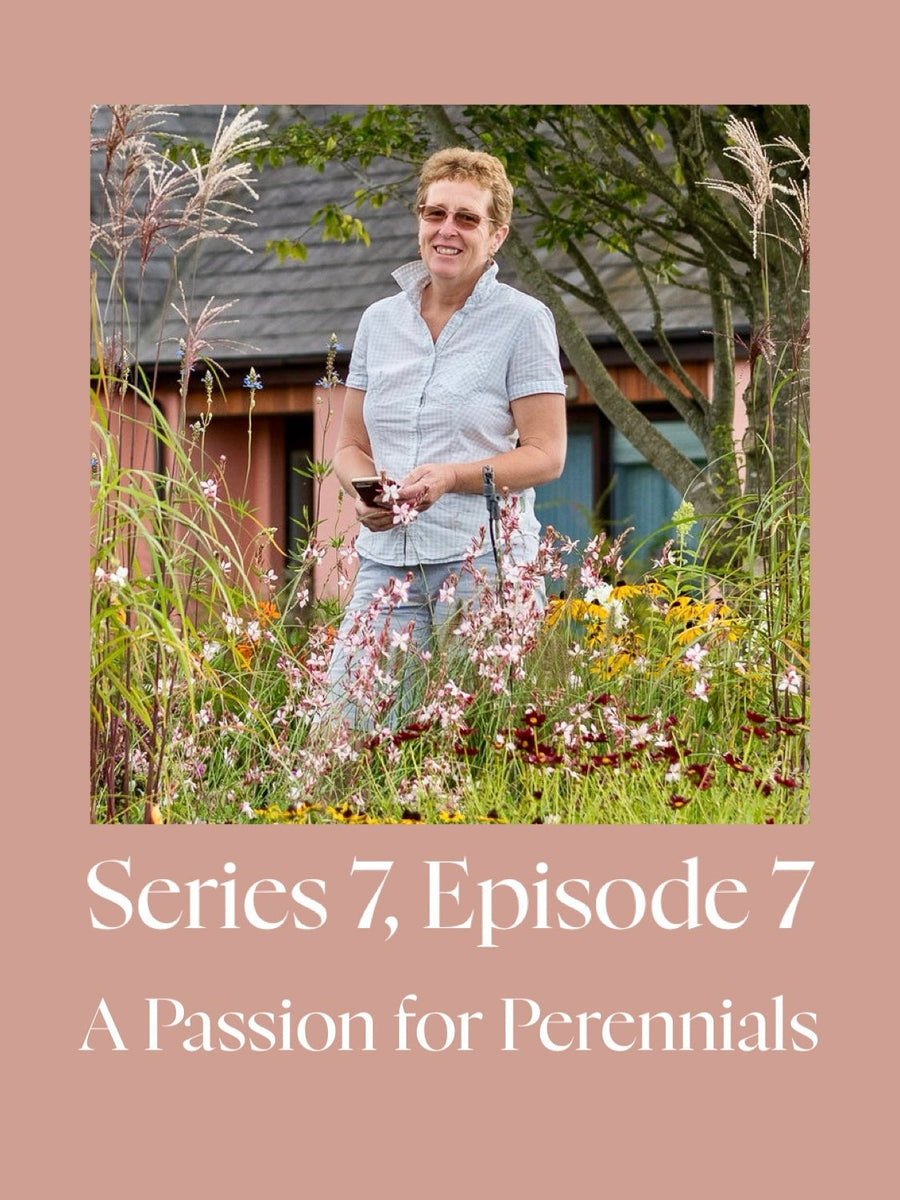 A Passion For Perennials with Rosy Hardy