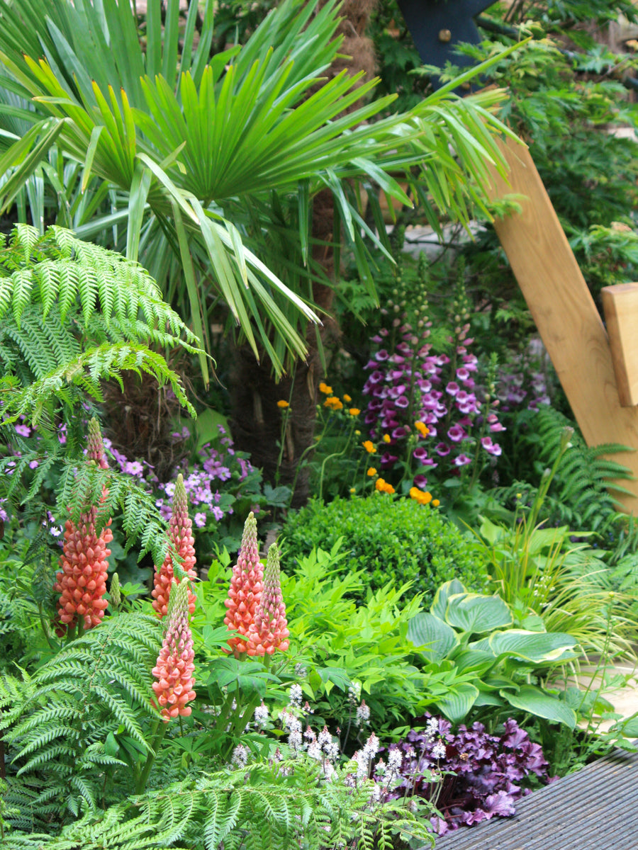 Your Garden In June