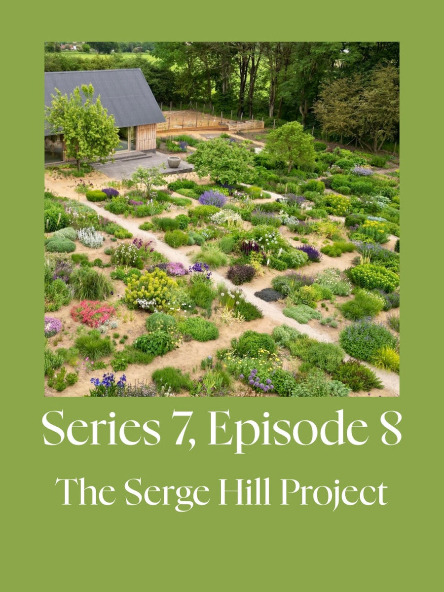 The Serge Hill Project with Becky Fincham and Millie Souter