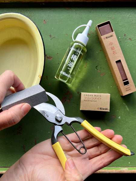 How to Maintain Garden Tools