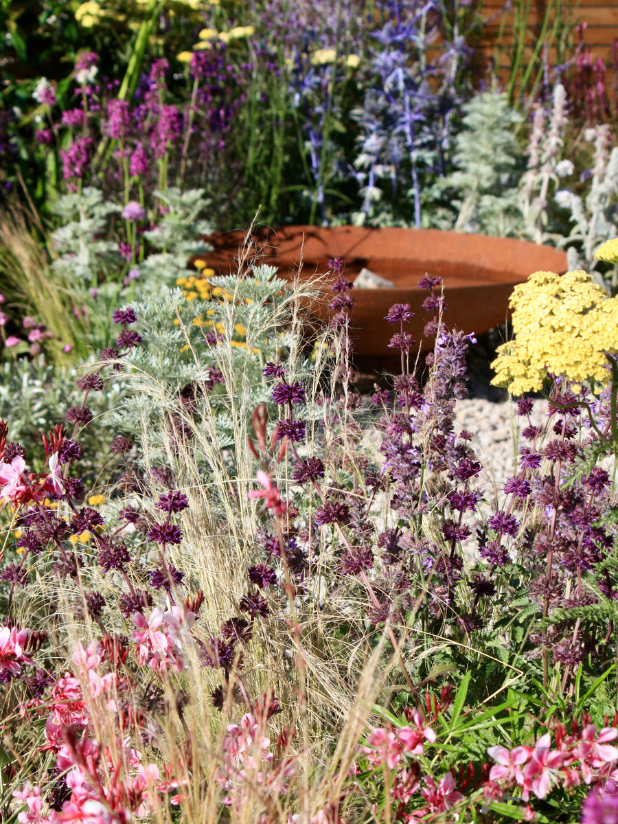 Your Garden in July