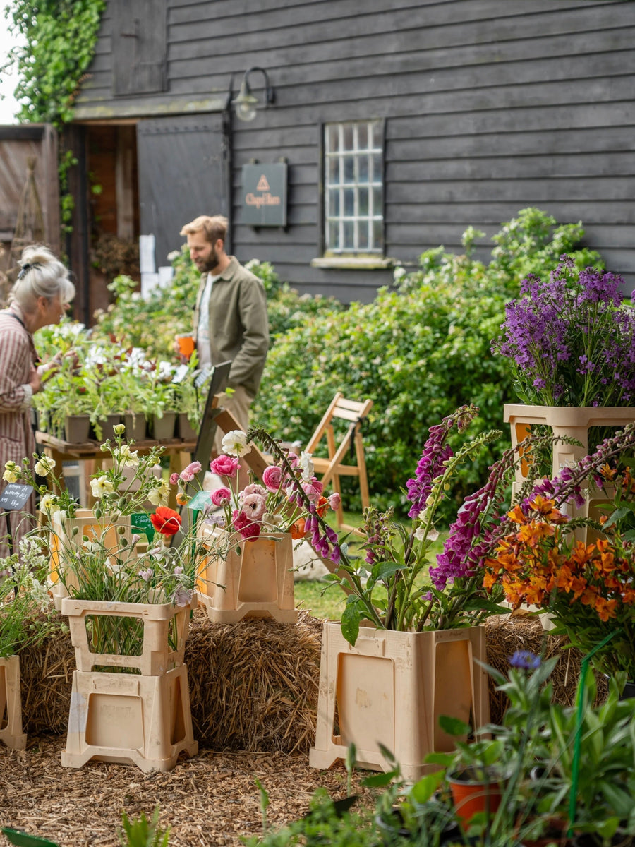 The Homegrown Market, Sussex