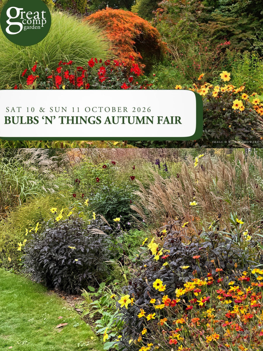 Bulbs and Things Autumn Fair, Great Comp Gardens