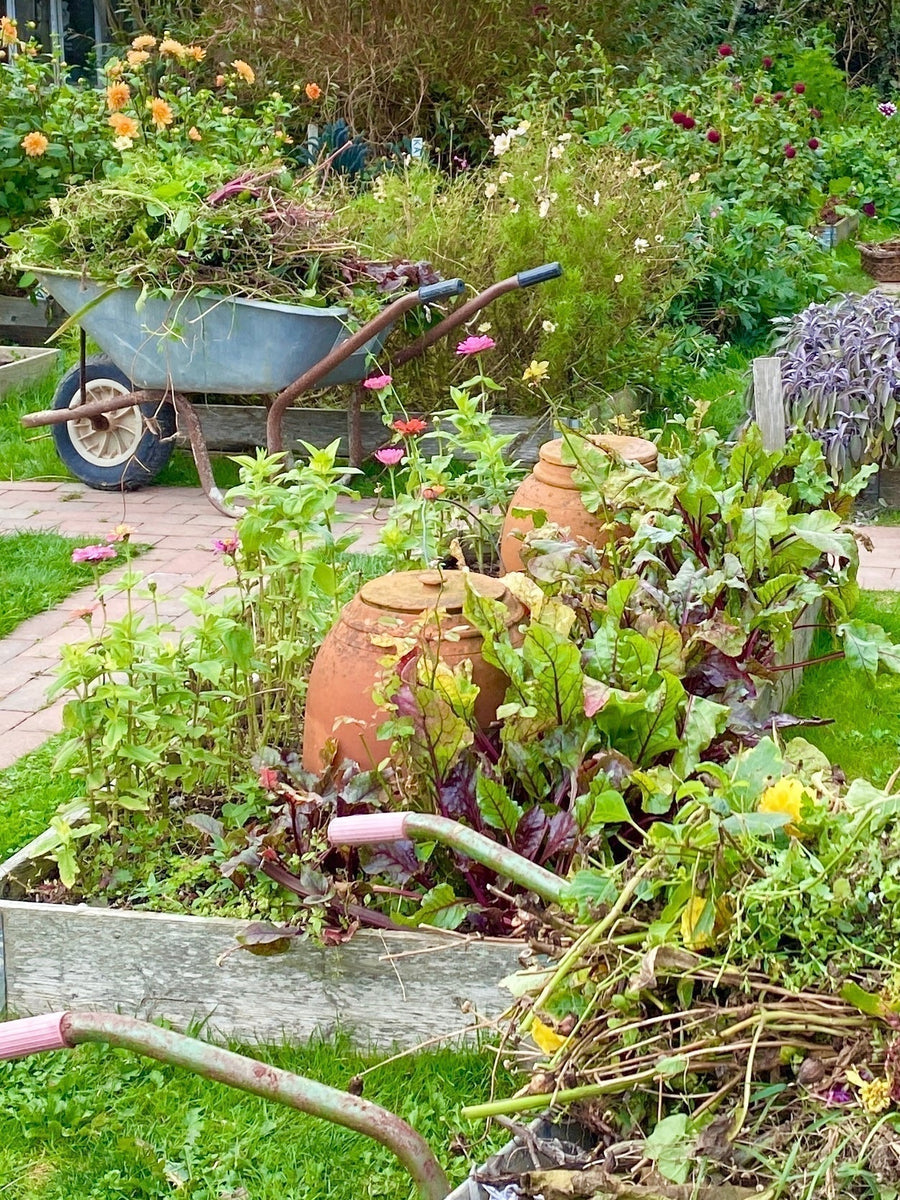 How to Prepare Your Garden for Winter - The Dos and Don’ts