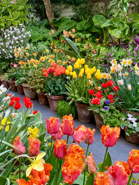 Your Garden In April