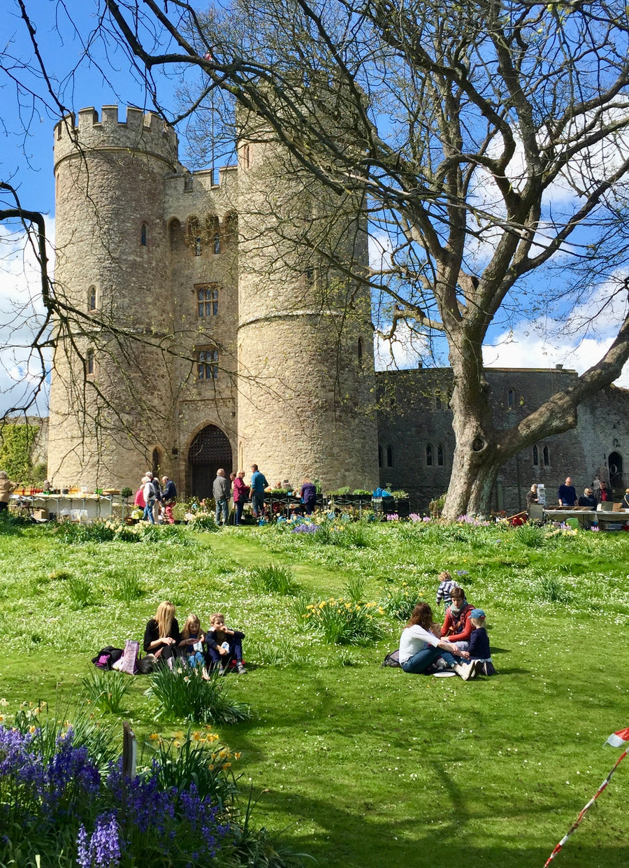 Plant Fair & Open Garden, Saltwood Castle
